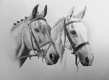 Horse Pencil Artist